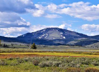 Why Rural Pharmacy Closures Mean Higher Medication Costs