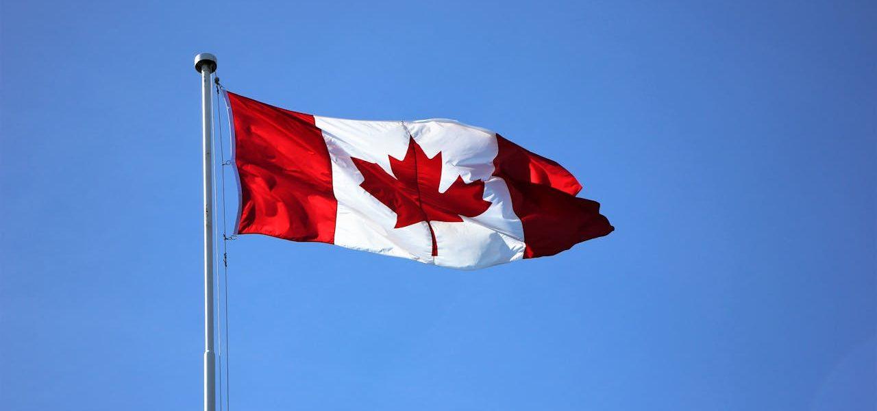 Can State-Run Canadian Drug Importation Programs Lower Drug Costs? | Simplefill