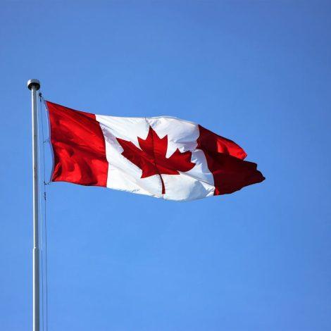 Can State-Run Canadian Drug Importation Programs Lower Drug Costs? | Simplefill