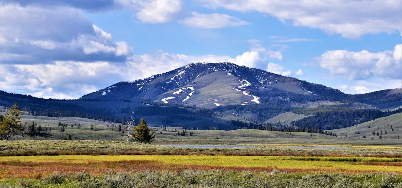 Why Rural Pharmacy Closures Mean Higher Medication Costs