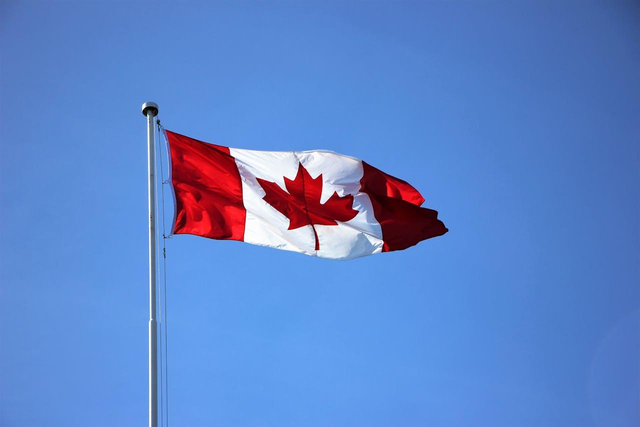 Can State-Run Canadian Drug Importation Programs Lower Drug Costs? | Simplefill